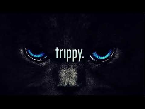 Boris Brejcha Deniz Bul  The Fckng Serious MINIMAL TECHNO