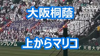 大阪桐蔭アルプス「上からマリコ」