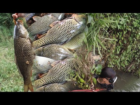 SE03EP140 P3 - NAHABOL ang KASAMAHAN sa PINAKA MALALIM na LAYON | KAPIT sa BAGING | Province of Quez