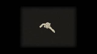 A clip from The Journey