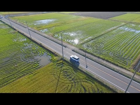 「海・街・人・自然」空から観る一宮の魅力