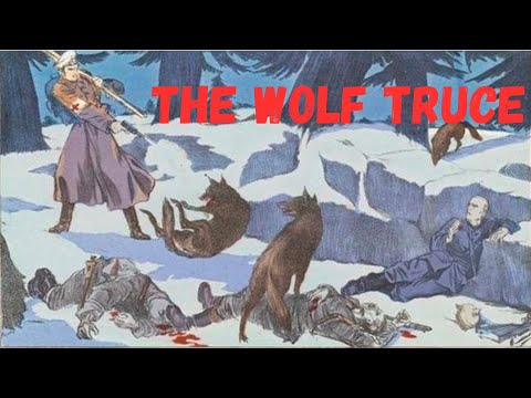 The Wolf Truce of WWI