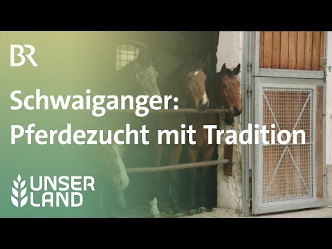 , title : 'Schwaiganger: Pferdezucht seit 1.000 Jahren | Unser Land | BR Fernsehen'