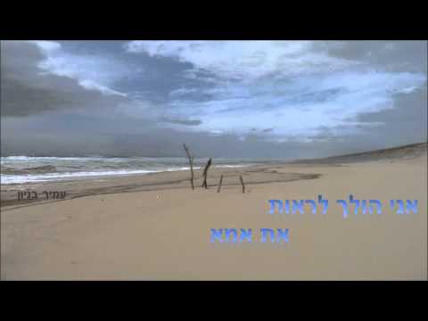 עמיר בניון