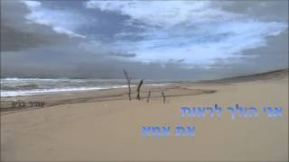 עמיר בניון