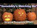 Somebody S Watching Singing Pumpkins Effect Animation