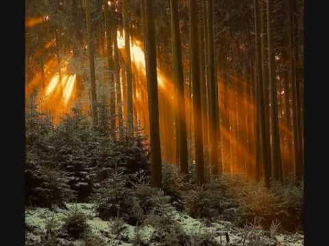 Baka Beyond - Spirit Of The Forest Baka Beyond - Spirit Of The Forest