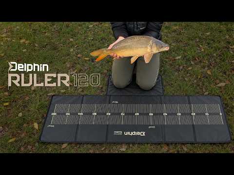 Delphin BANX Ruler 120