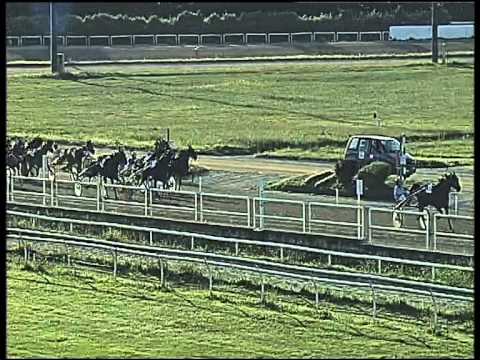 trotto 28/05/2015 - 8° corsa - TRIS