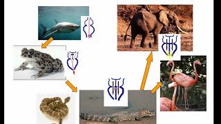 Desarrollo CV1 - Parte 1