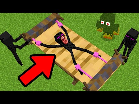 How Minecraft Mobs Act when you leave…