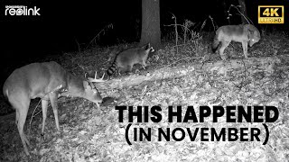 This Happened at Wineberry Hill - November