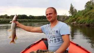 Отчет по рыбалке на реке тура