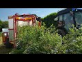 Harvester For Blueberry Raspberry Blackberry Haskap And More KAREN Weremczuk FMR