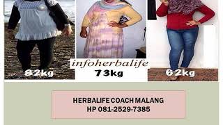 Download lagu SPECIAL , WA 62 81-2529-7385, Herbalife Halal mp3 Download lagu SPECIAL , WA 62 81-2529-7385, Herbalife Halal mp3