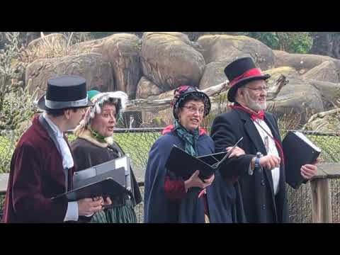 Promotional video thumbnail 5 for The Merrie Olde Christmas Carolers