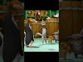 Nobody will be sucking seeds🤣 #moviescenes  #movie #movies #penguinsofmadagascar #madagascar #kids