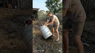 🧸 Lindo Cacto Dançante de Pelúcia Mexicana   Brinquedo de Pelúcia Elétrico