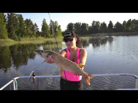 Jassun kanssa kalassa -  Kesähaukea heittoperholla - Spintube - Eumer