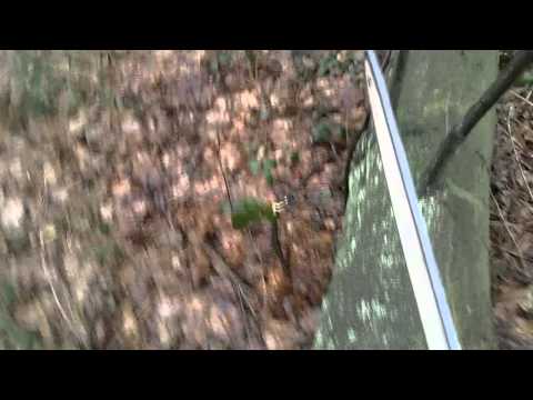 Entasten mit der Onboardcam 01