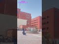 Pakistan Punjab College Girls Playing Cricket In Hijab Big Booty Show