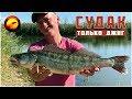 Ловля судака / Джиг рыбалка с берега / Приманки и проводки на судака / Рыбалка осенью в дельте Волги Ловля судака / Джиг рыбалка с берега / Приманки и проводки на судака / Рыбалка осенью в дельте Волги