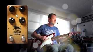 Video thumbnail for Black Cat Pedals : MINI TREM (extra demo) by Brett Kingman