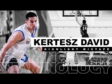 Kertész Dávid Highlight Mixtape 2023/24 season - Ceglédi KE