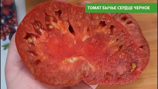 Томат Бычье сердце шоколадное описание сорта помидоров характеристики выращивание