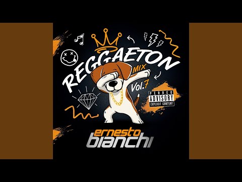 Reggaeton Mix, Vol.7