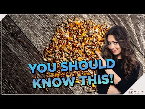 Is Chicken Scratch Good or Bad? A Comprehensive Guide