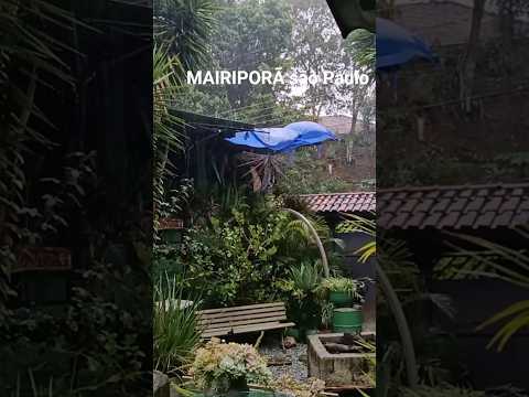 #chuva #saopaulo #mairipora #gatos #gato #cachorro #cachorros #fypyoutube #fypviral #fypシ #funny