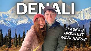 Epic 72 Hours in Denali National Park, Alaska: Best Things To Do 🇺🇸
