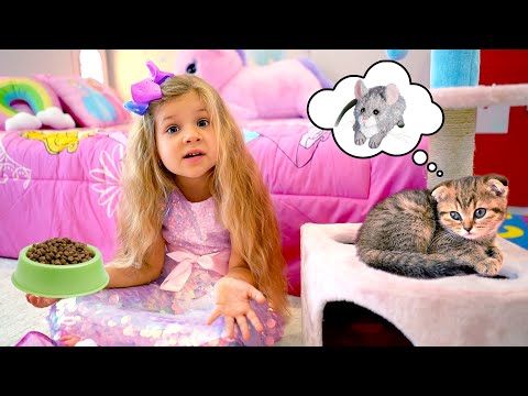 Diana sta imparando a prendersi cura di un gattino