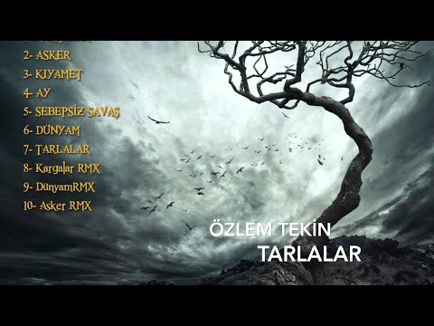 Özlem Tekin- Tarlalar