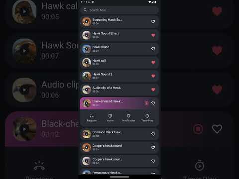 Hawk Sounds
