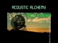 Acoustic Alchemy-Slap it down