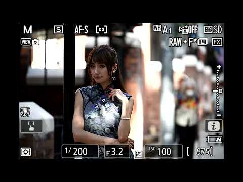 Nikon Z 70-180mm f/2.8 AF Speed（AF-S、180mm）