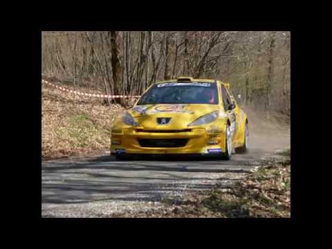 38° Rally 1000 miglia 2014