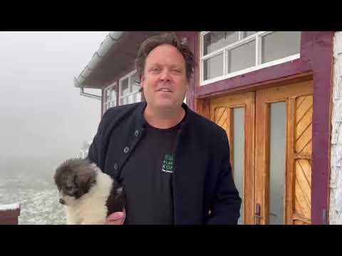 Charlie Ottley - Cred în România