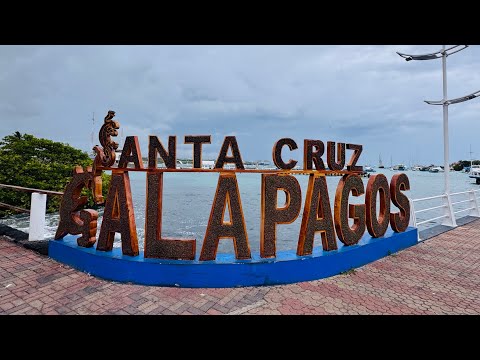 Galapagos 💚Santa Cruz😎 Caminata conociendo Playa Tortuga en Parque Nacional Galapagos 🥰