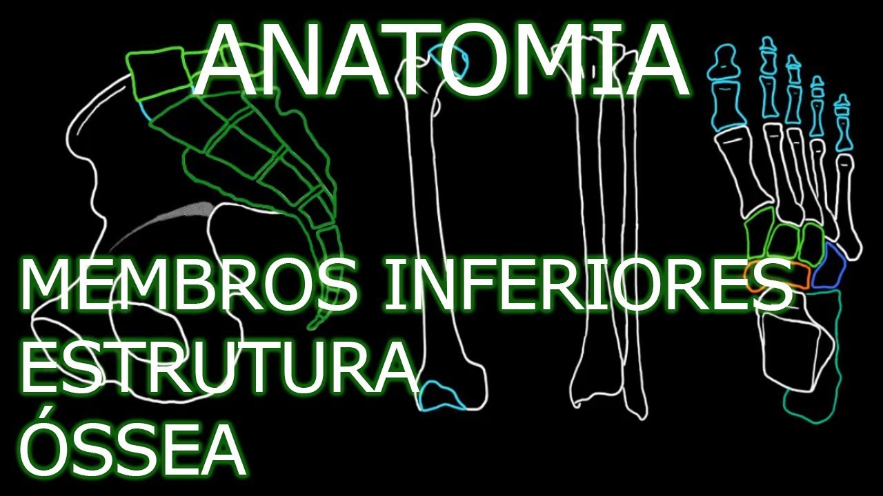 Aula: Anatomia - Membros Inferiores - Estrutura Óssea | Anatomia Humana Osteomuscular