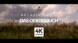 Relaxing Film - Das Oderbruch in Germany 4K - Relax Music Chill Lounge
