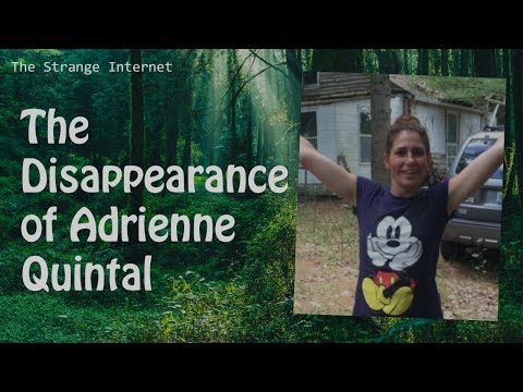 The Disappearance of Adrienne Quintal [The Strange Internet  EP11]
