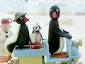 Pingu S04e23 Pingu Helps Grandfather Dvdrip Xvid