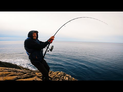 Sometimes you win, sometimes you learn | Fishing for BIG Bluefin Tuna off the rocks