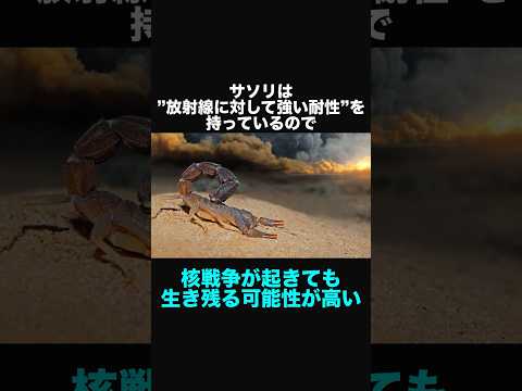 サソリは15種類