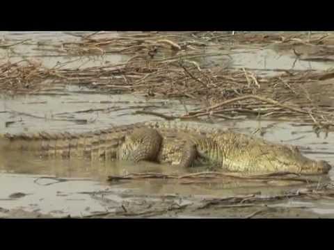 2013-02 Batuca'Ouaga - Les Dents de la Mare (Sacrée de Bazoulé)