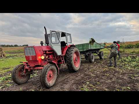 Life in Mountains and Mountain Village Life