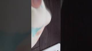 スクイーズ音フェチ